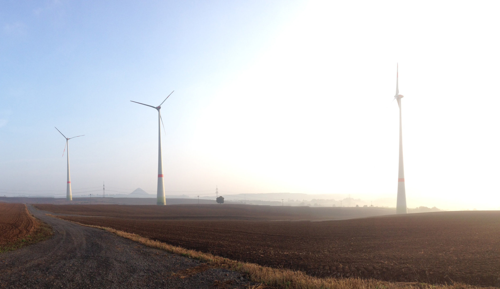 Unser Projekt Polleben